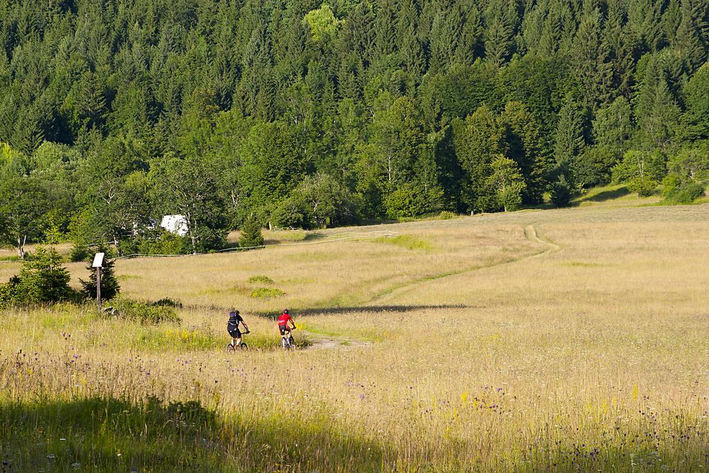 Hotel Bela Krajina Metlika Esterno foto